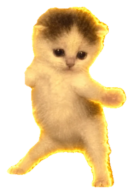 Dance cat